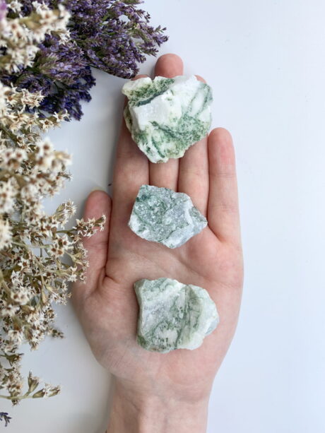 Agat drzewny - surowa bryłka 3 - 4 cm