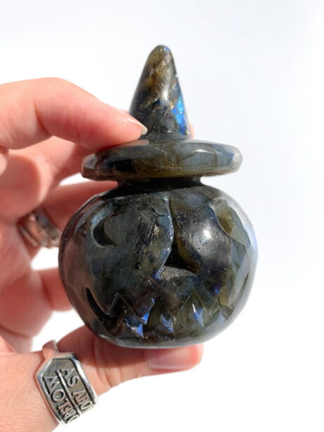 Dynia labradoryt - nr 3