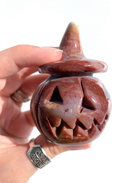 Dynia jaspis oceaniczny - nr 2