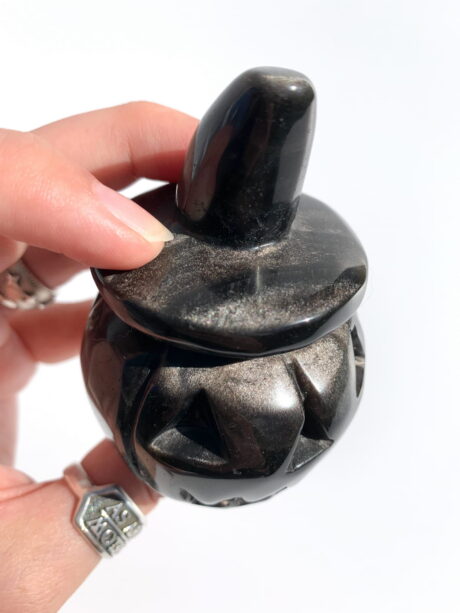 Dynia obsydian srebrny - nr 1