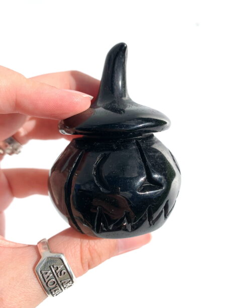 Dynia obsydian - nr 1