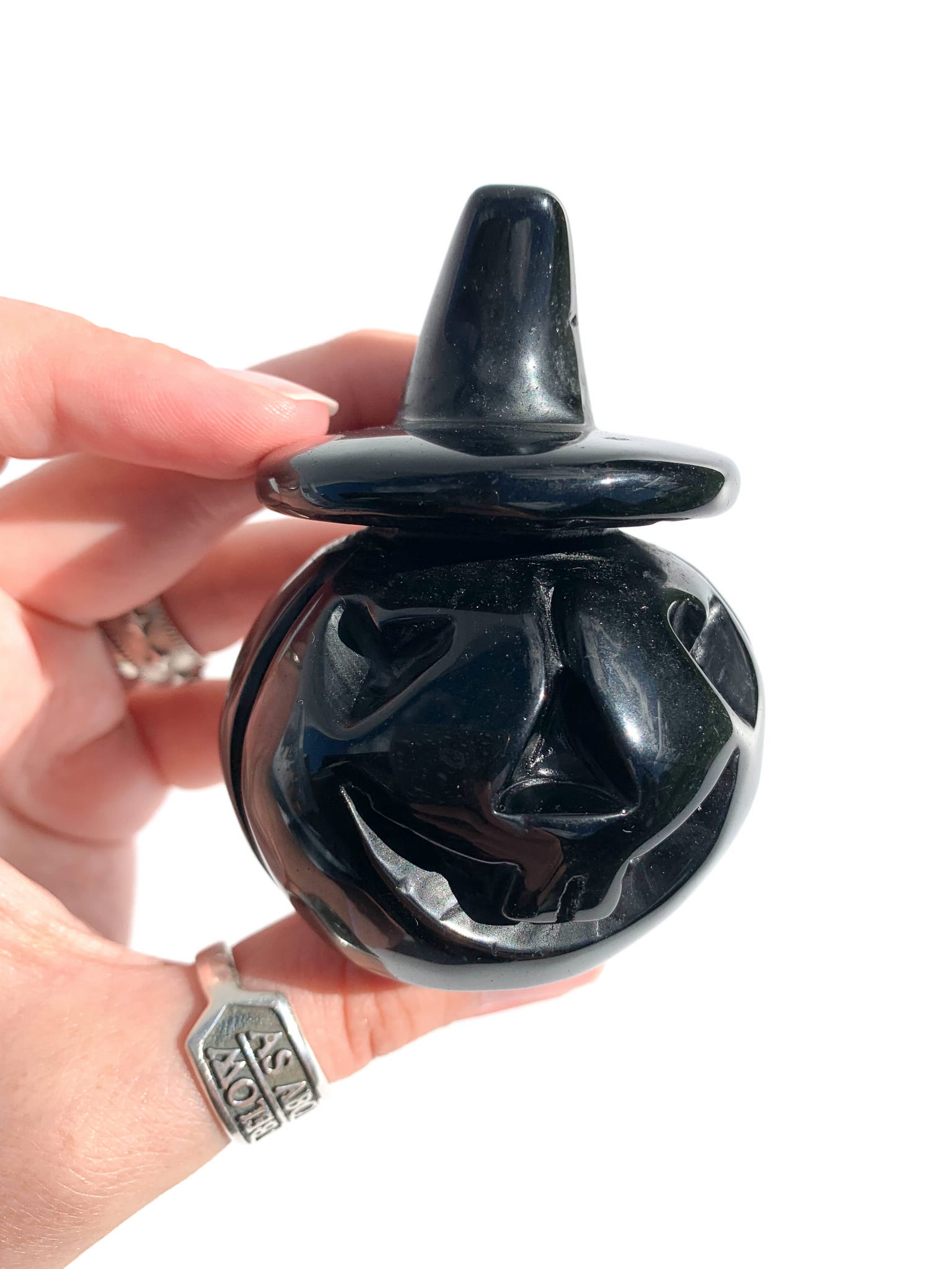 Dynia obsydian - nr 2