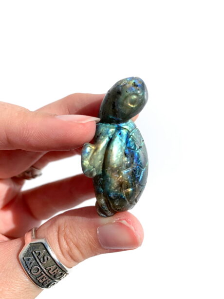 Labradoryt  żółw nr 2