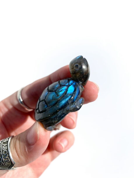 Labradoryt  żółw nr 3