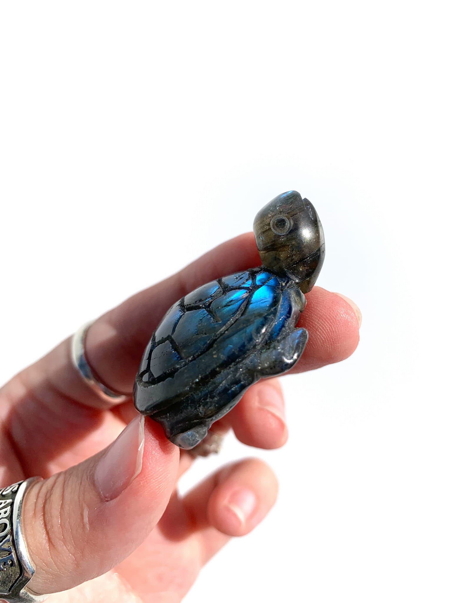 Labradoryt żółw nr 3 - obrazek 3