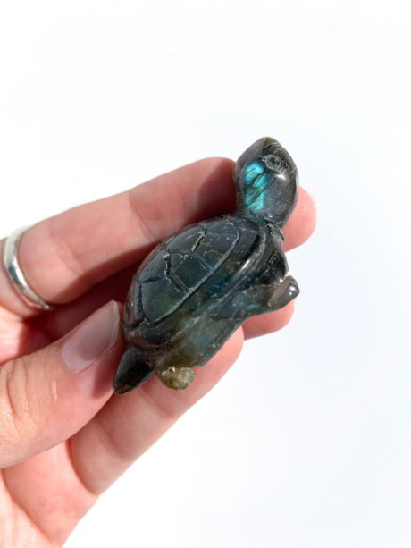 Labradoryt  żółw nr 4