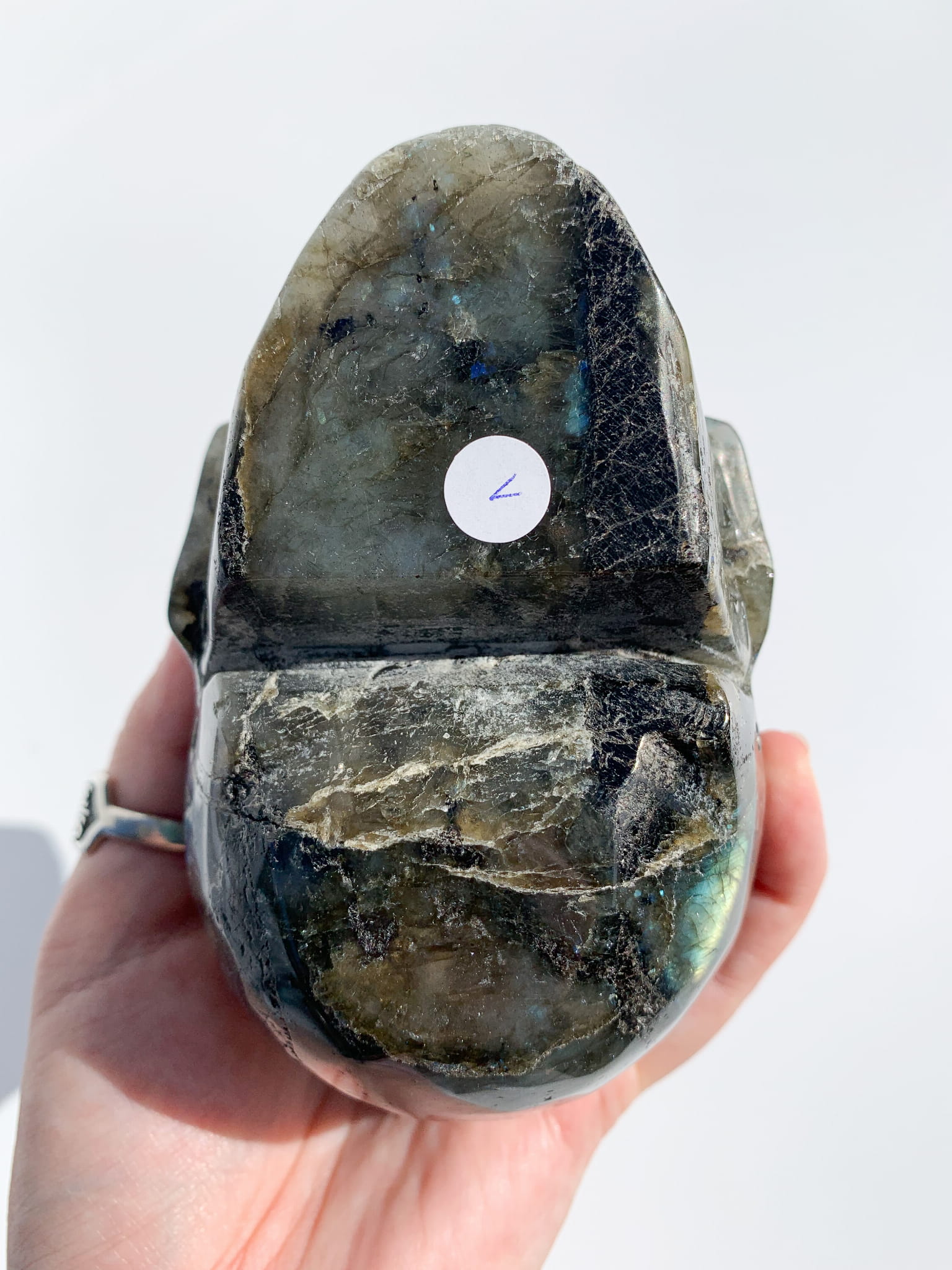 Labradoryt czaszka - nr 1 - obrazek 8