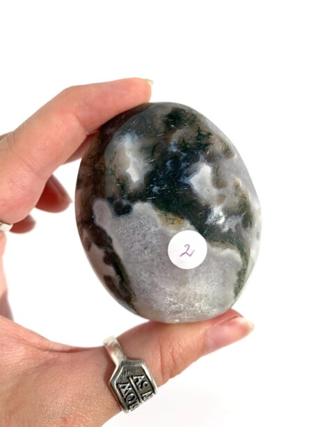 Agat mszysty palmstone - numer 02