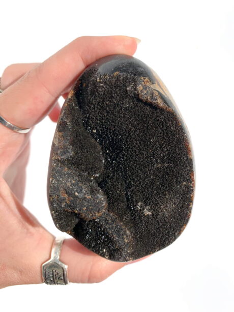 Septaria jajo - nr 2