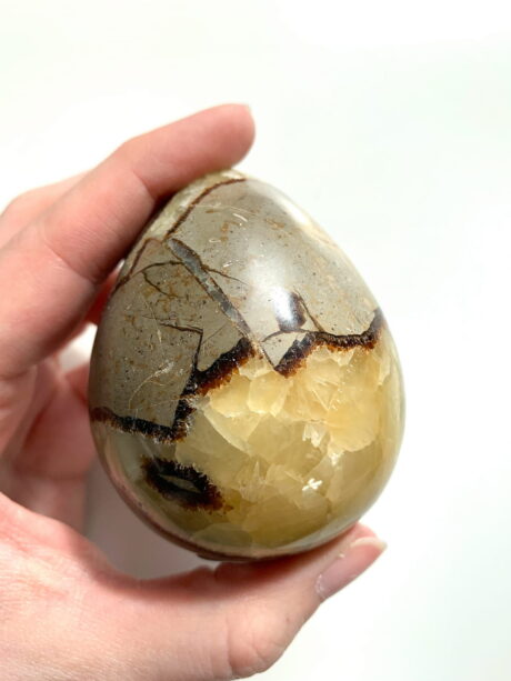 Septaria jajo - nr 2