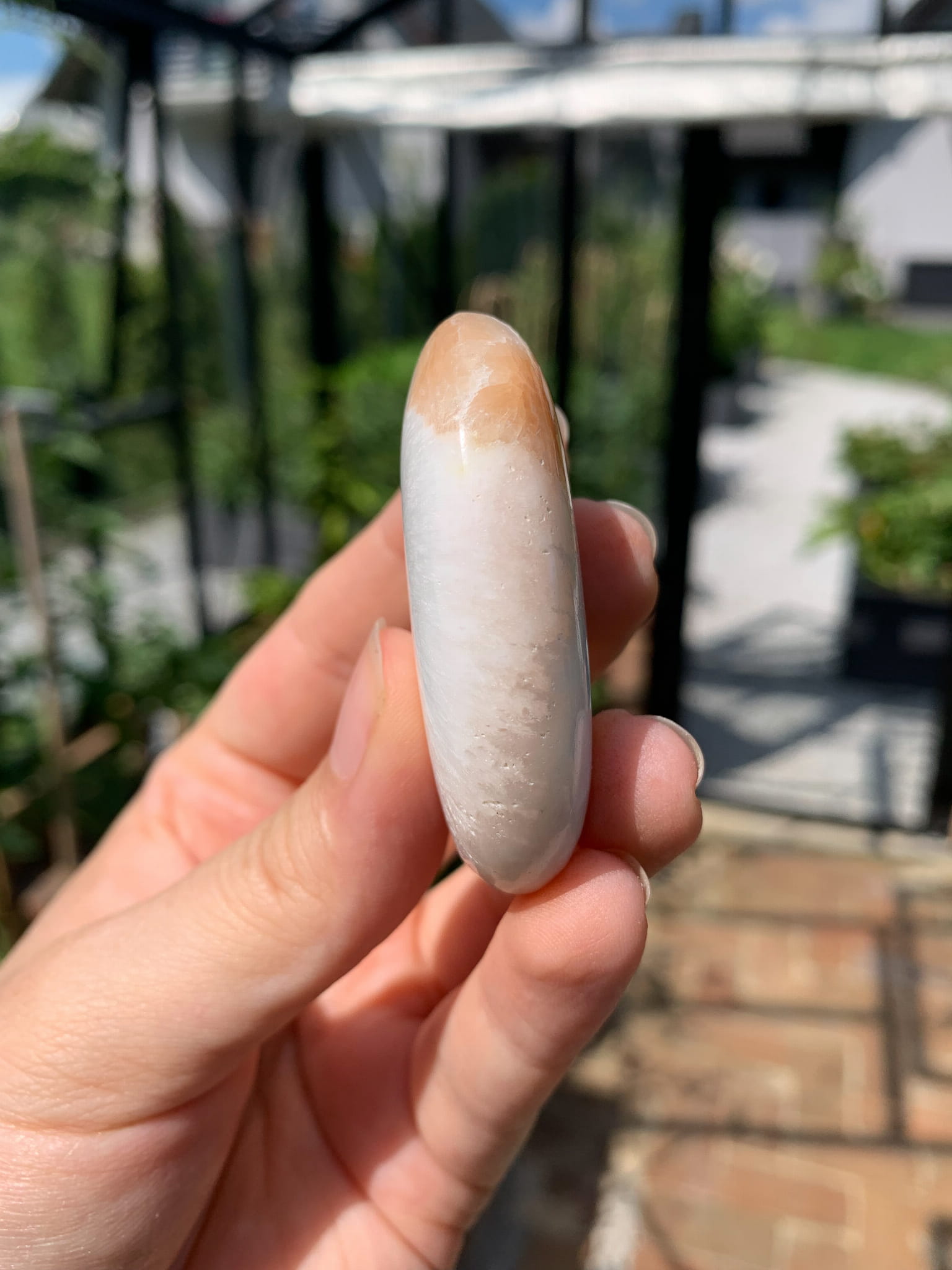 Skolecyt palmstone - nr 1 - obrazek 3