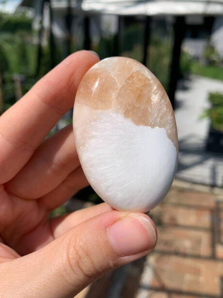 Skolecyt palmstone - nr 1