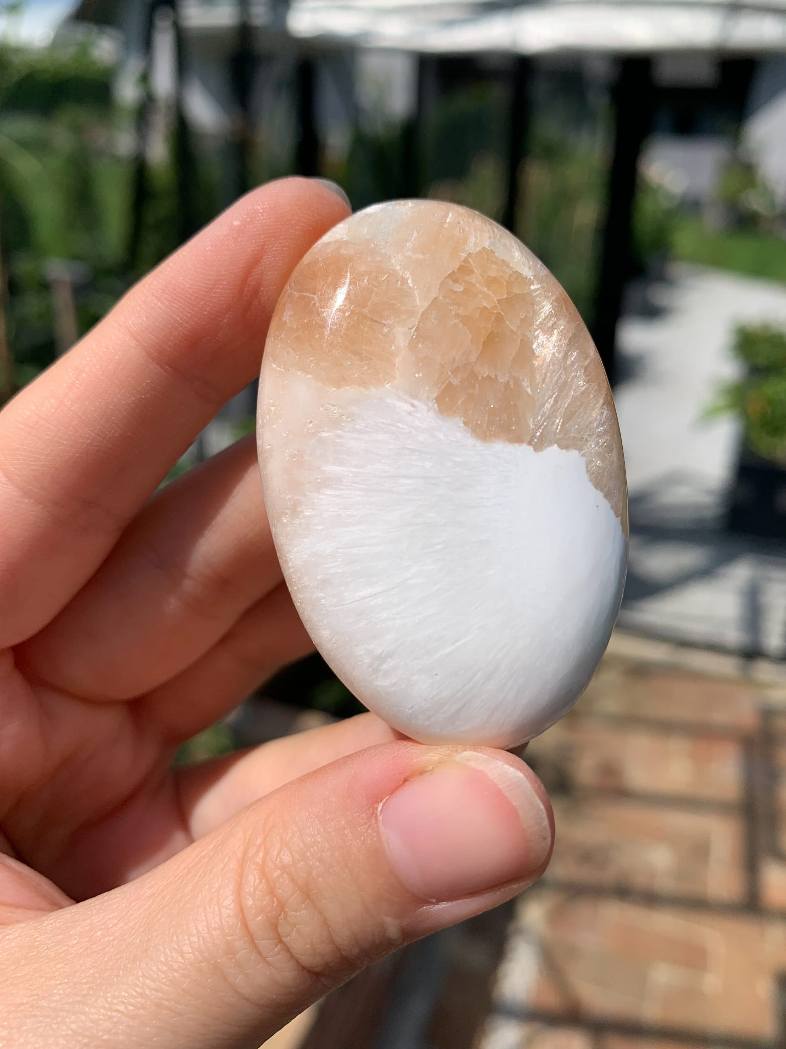 Skolecyt palmstone - nr 1