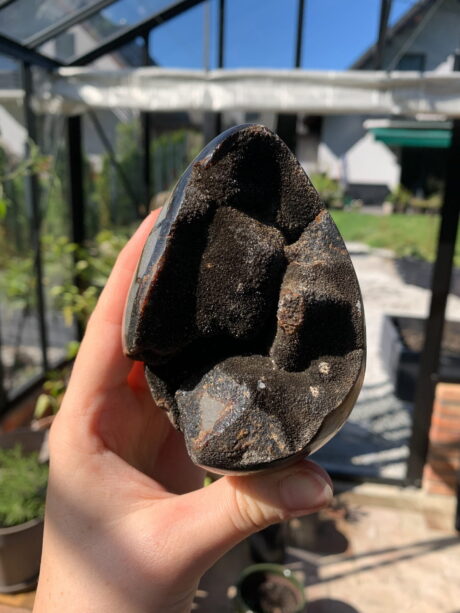 Septaria jajo - nr 1